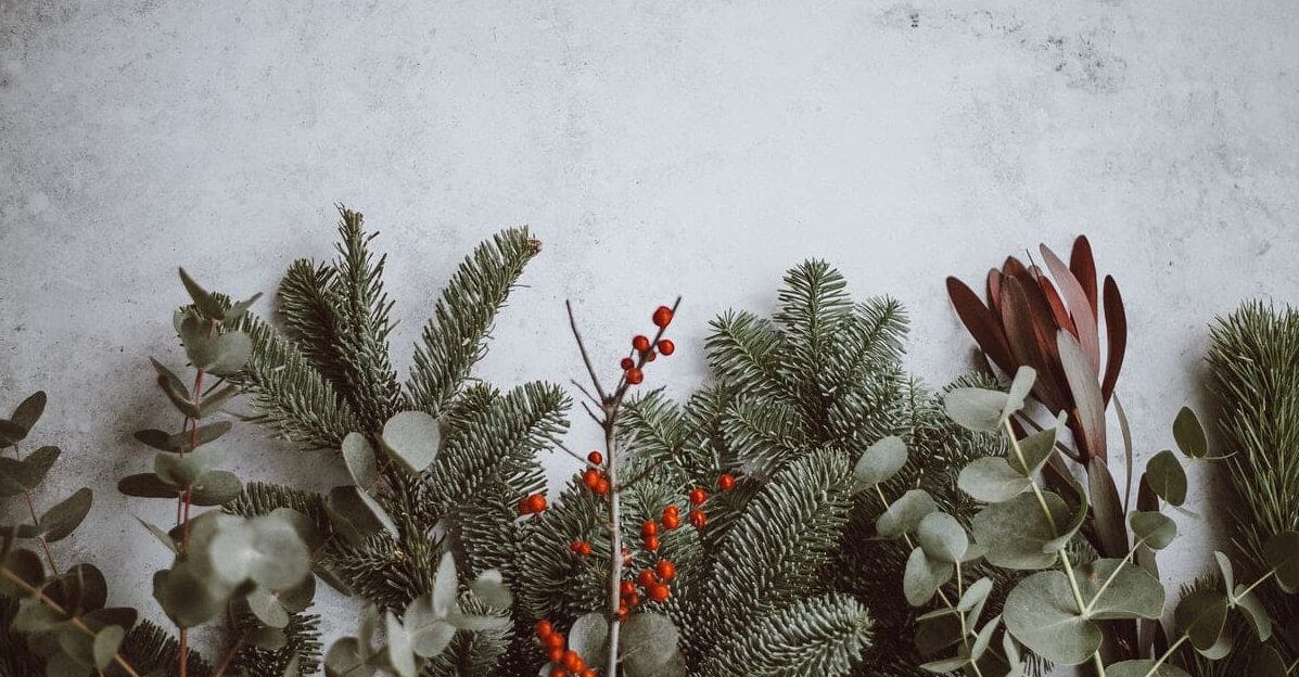 When the holidays aren't happy part II - family