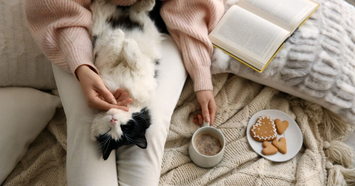 woman sitting with cat on lap while reading and drinking coffee with a plate of snacks off to the side